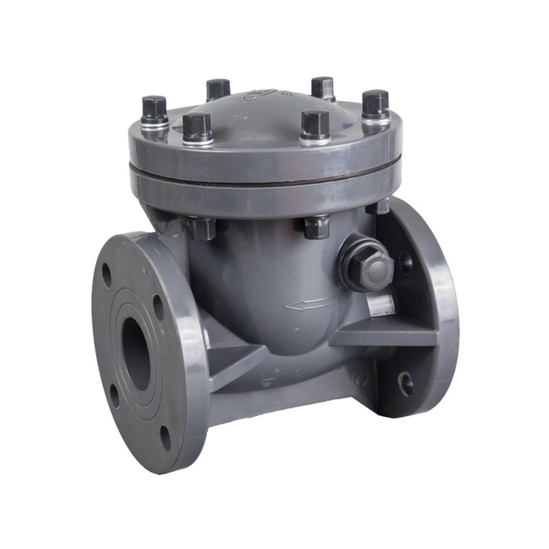 Swing Check Valve