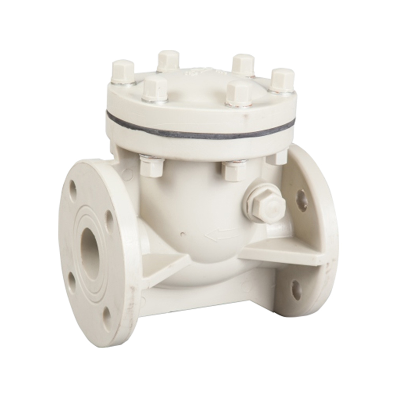 Swing Check Valve