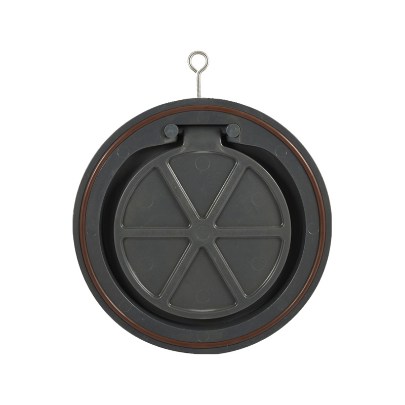 Wafer Check Valve