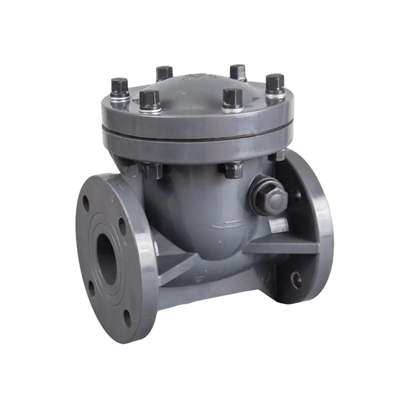 Swing Check Valve