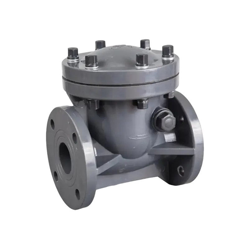 Check Valve